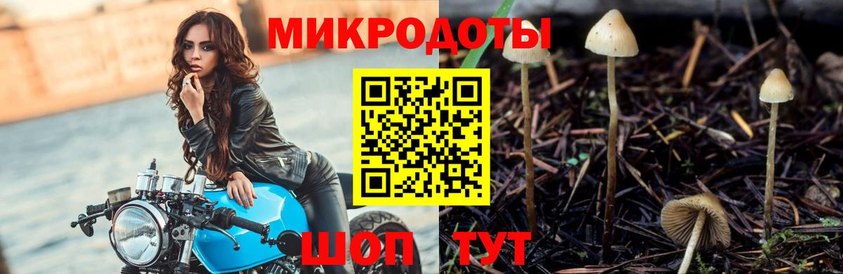 Псилоцибиновые грибы мухоморы Знаменск